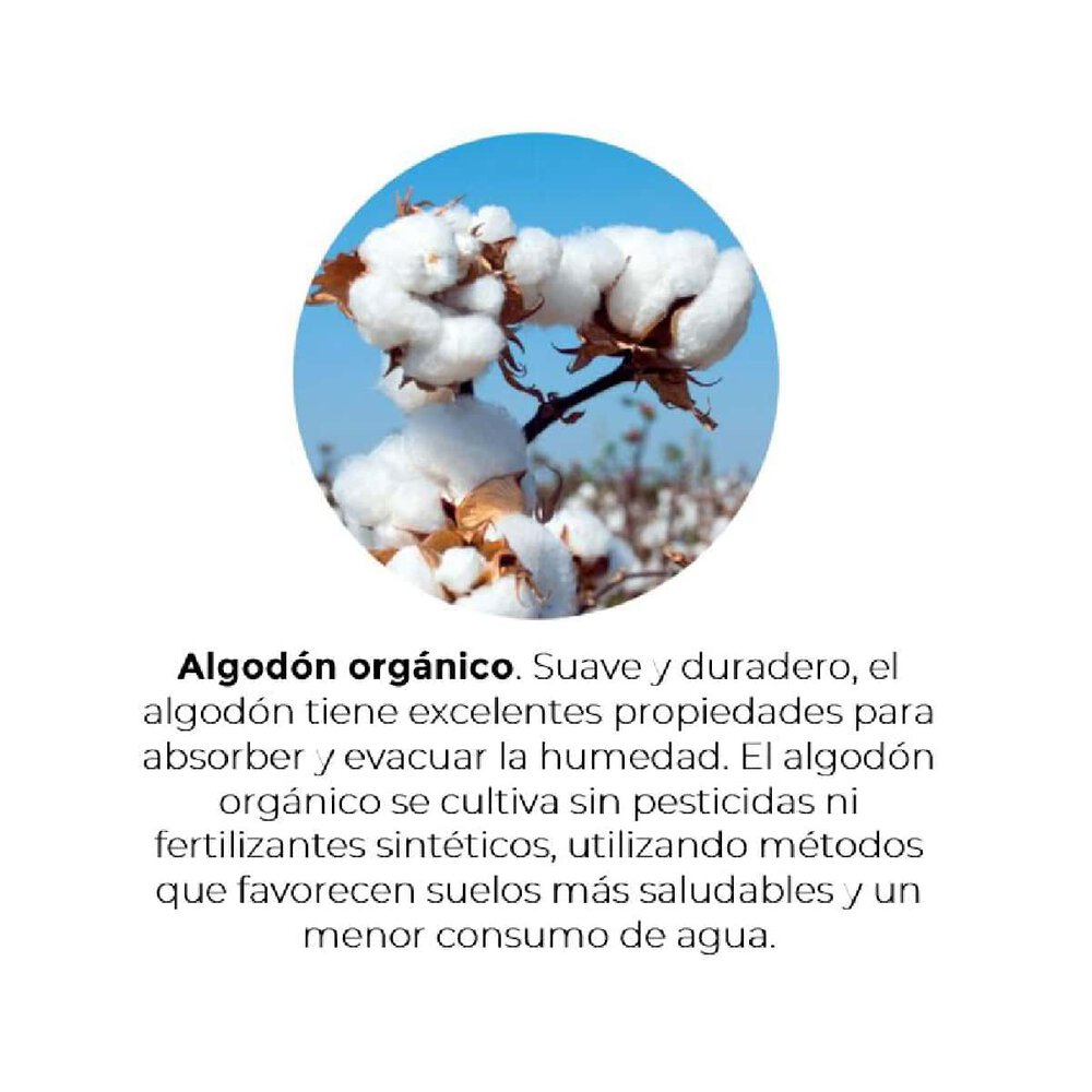 AIR 3900 - Imagen 3