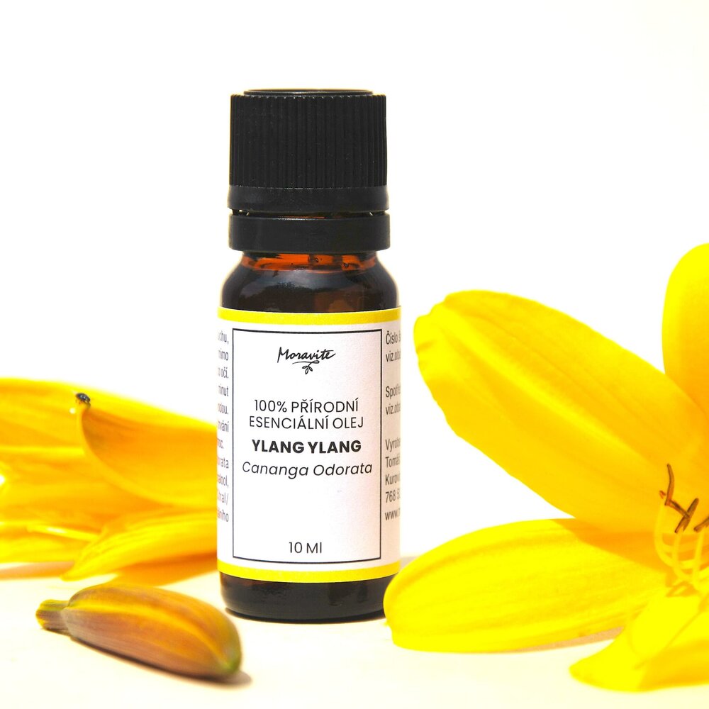 Lahvička esenciálního oleje Ylang Ylang Moravité v aranžmá se žlutými květy denivky na bílém pozadí.