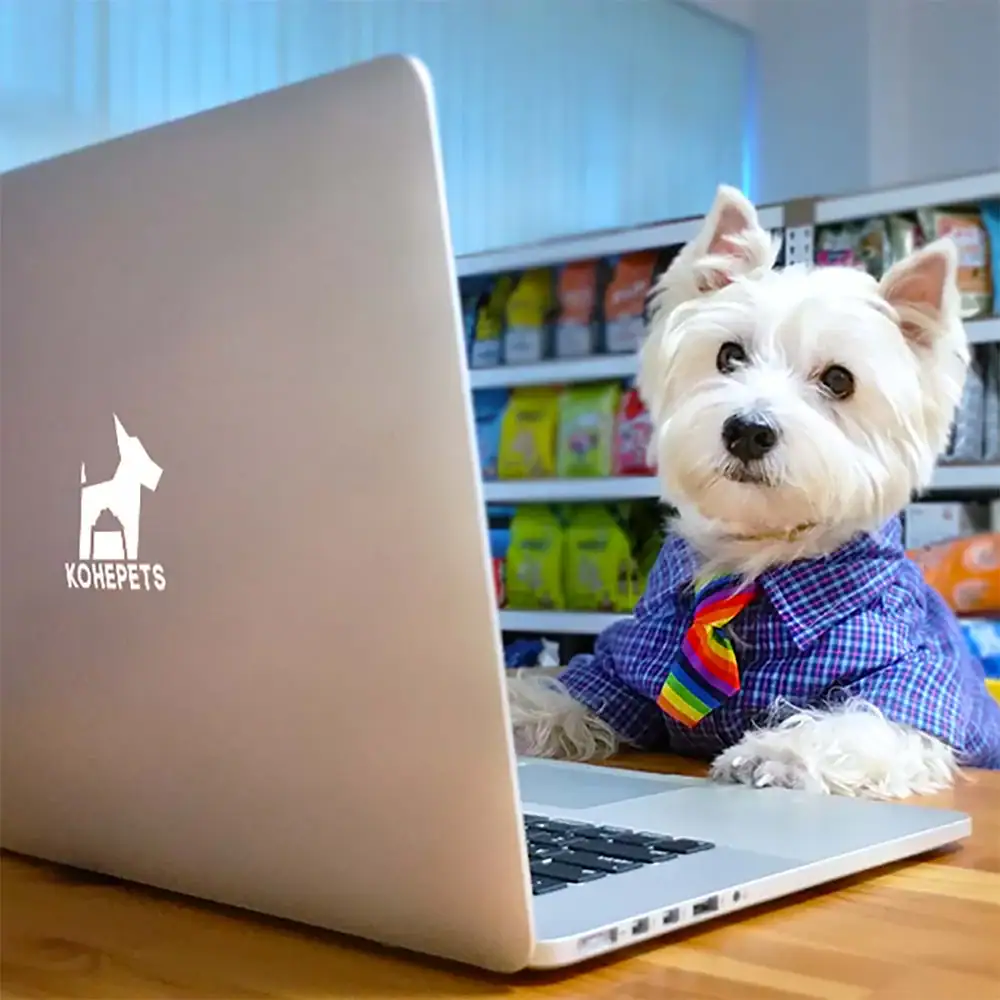 online pet store singapore