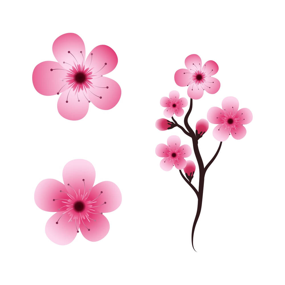 cherry blossom tattoo ideas
