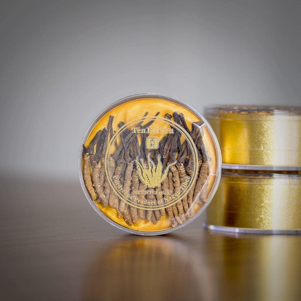 Cordyceps Nagqu Tibet 4 Grams Small Gift - Image 8