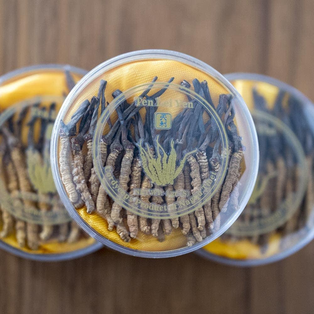Cordyceps Nagqu Tibet 4 Grams Small Gift - Image 9
