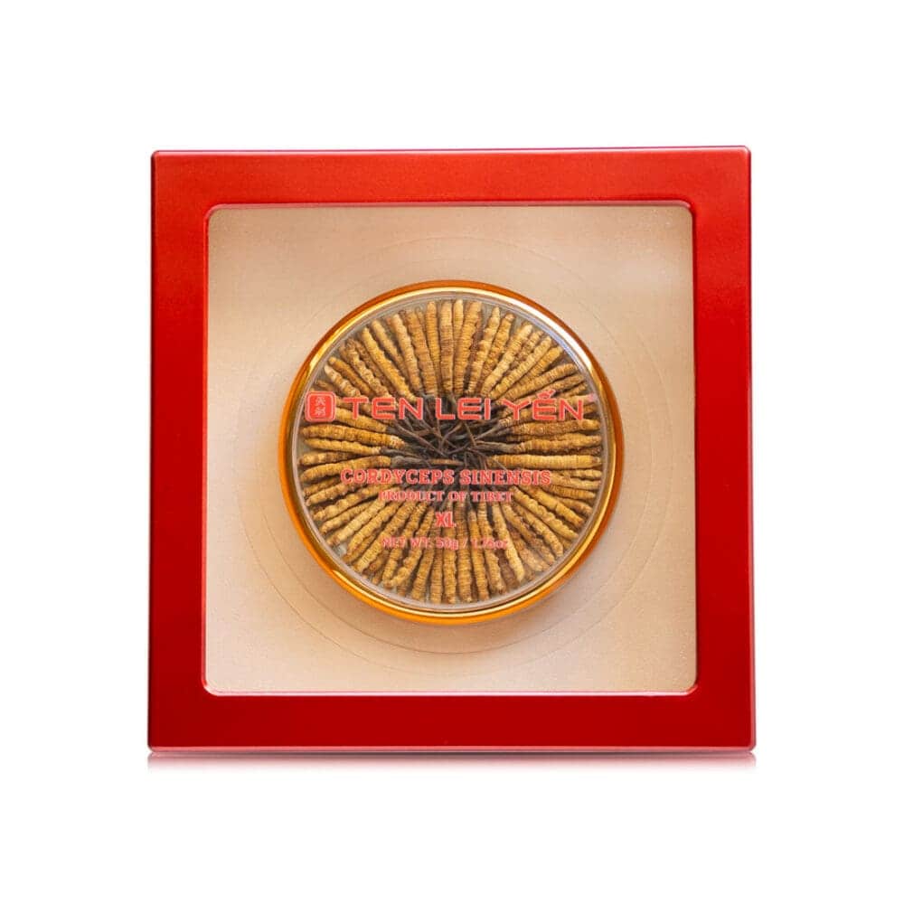 Ten Lei Yen Cultivated Cordyceps Extra Large 50 Grams
