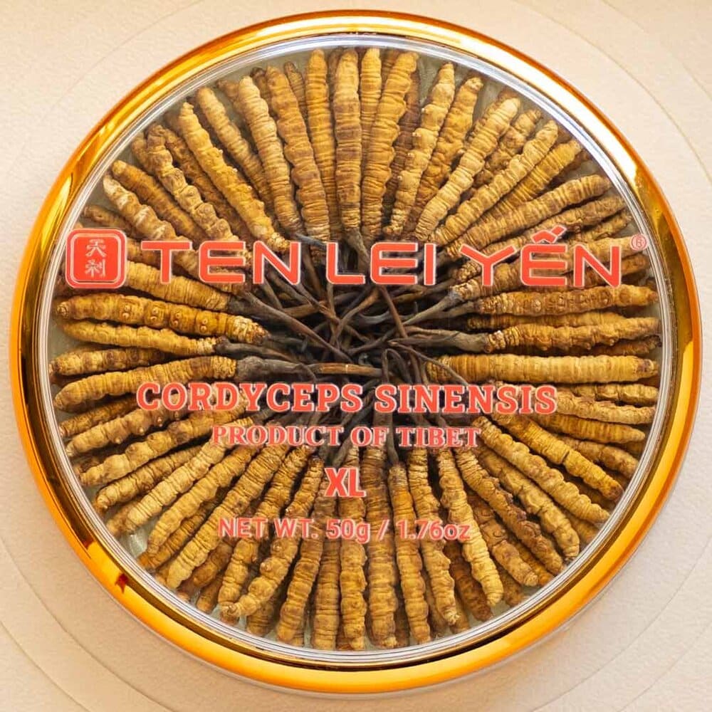 Ten Lei Yen Cultivated Cordyceps Extra Large 50 Grams