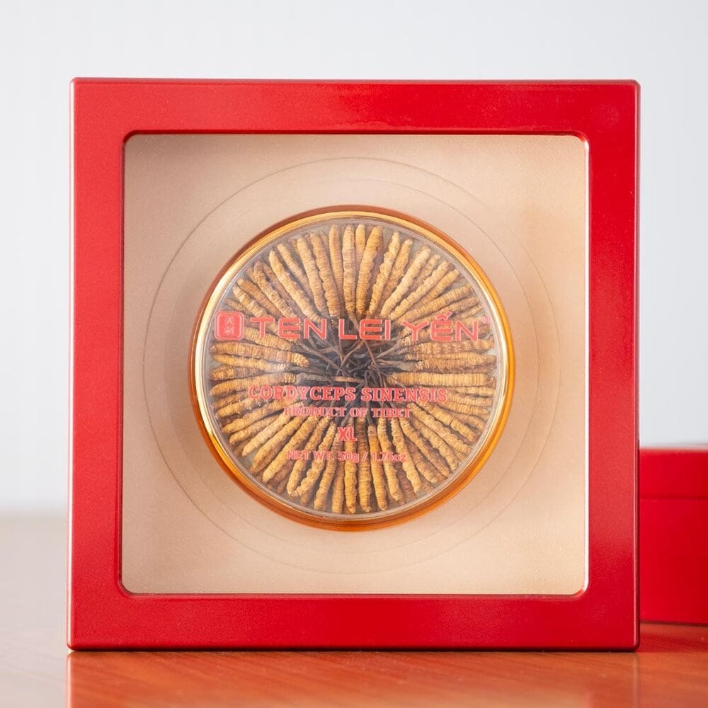 Ten Lei Yen Cultivated Cordyceps Extra Large 50 Grams