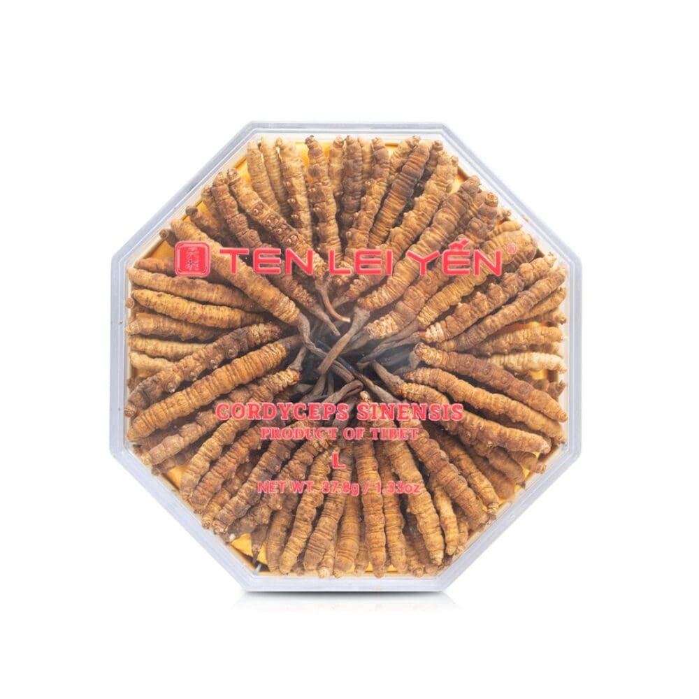 Ten Lei Yen - Cultivated Cordyceps 37.8 Gram Large
