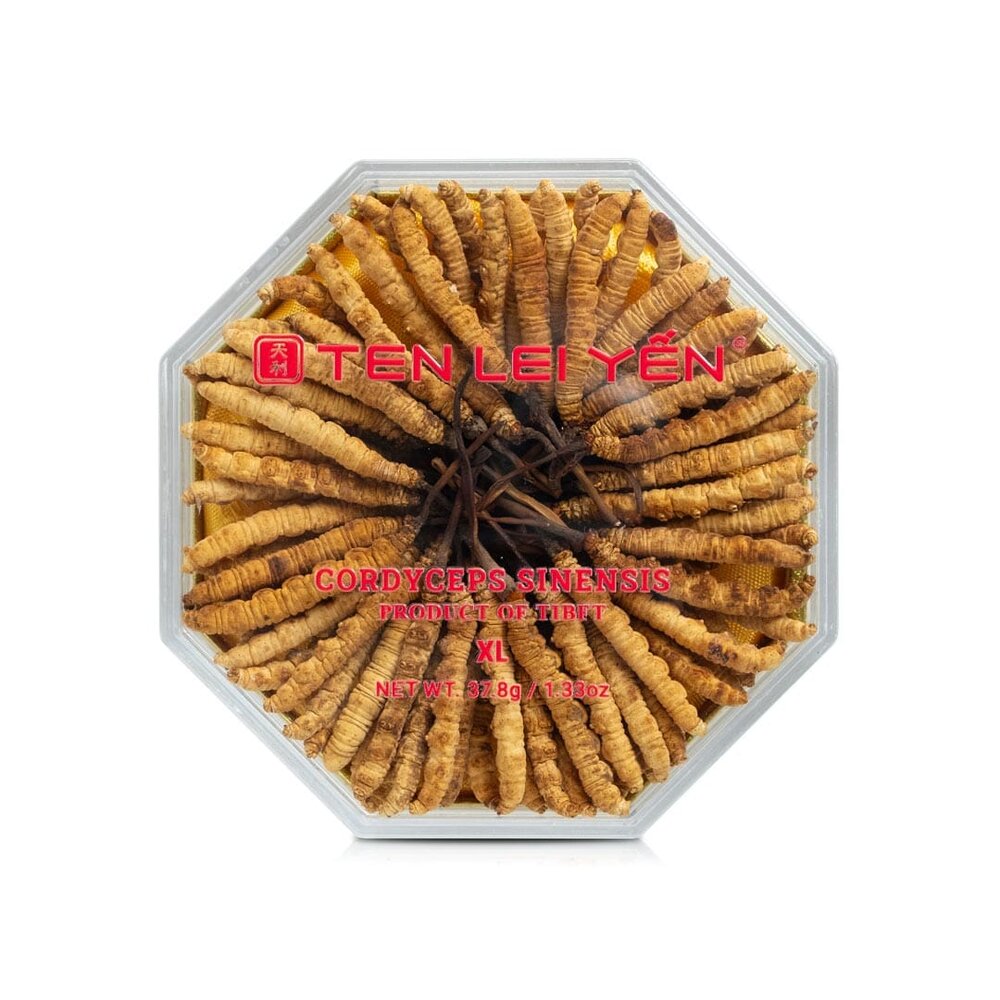 Ten Lei Yen - Cultivated Cordyceps 37.8 Gram Extra Large