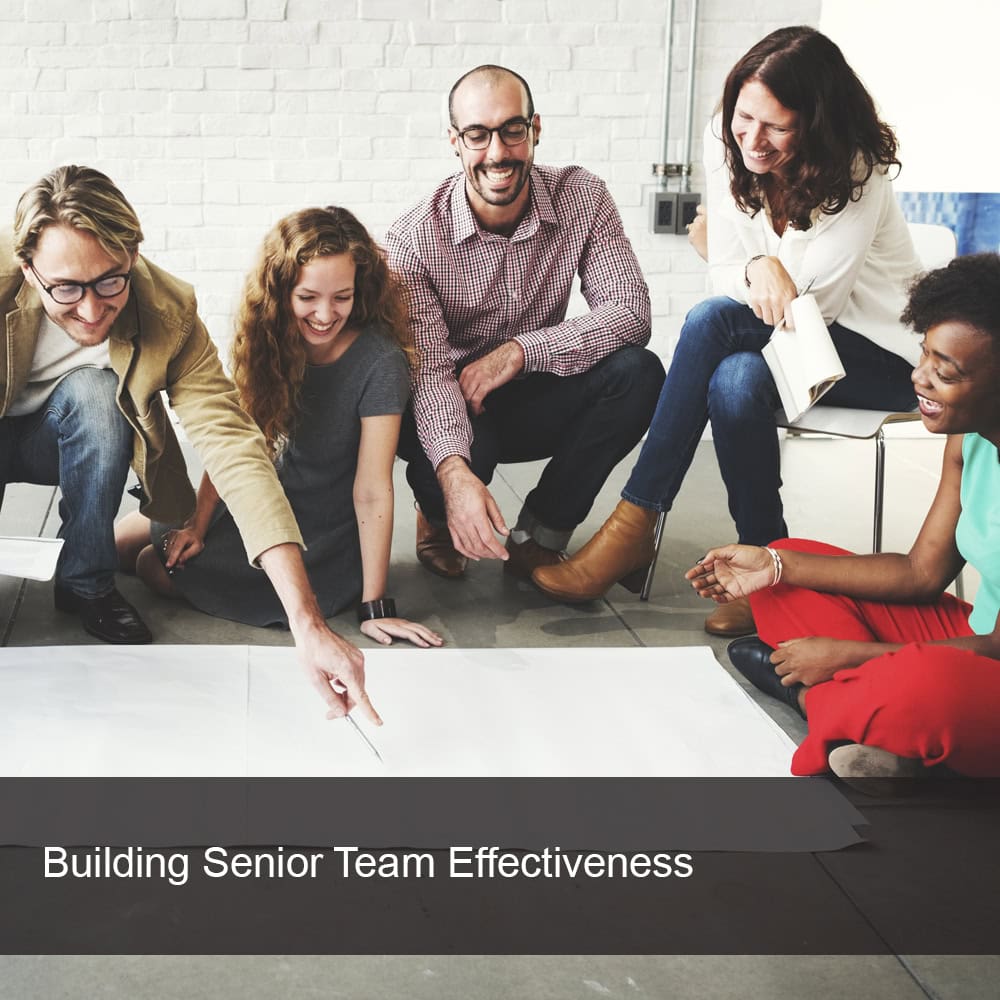 Business senior team leaders enjoying team building exercise