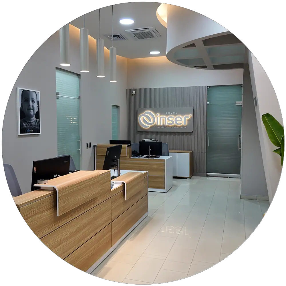 Inser Pereira oficina