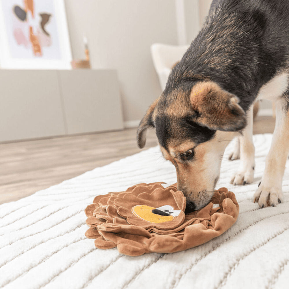 Peluche Olfativo Leon - Imagen 2