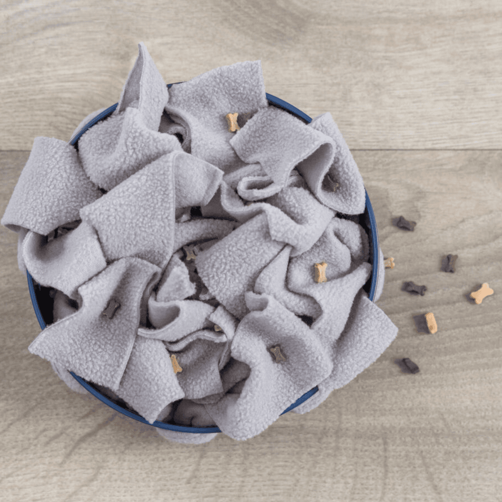 Comedero Olfativo Interactivo - Imagen 2