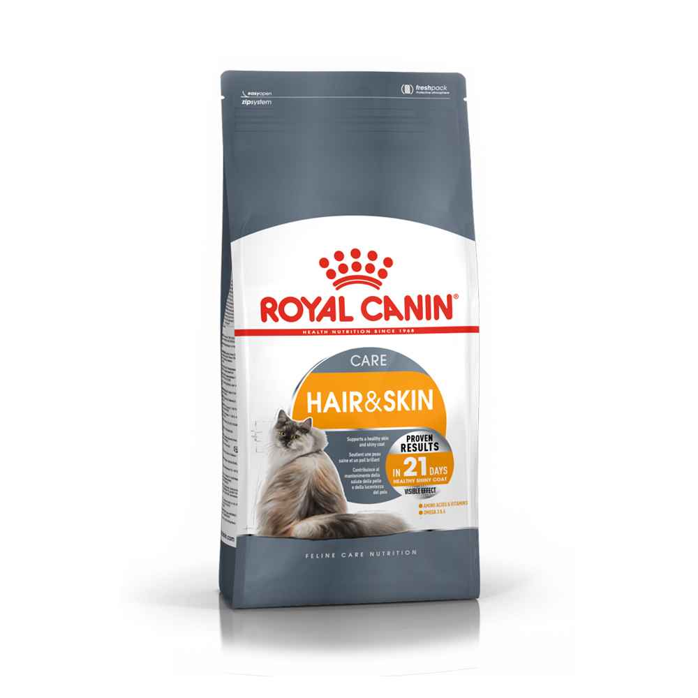cat feeding tips