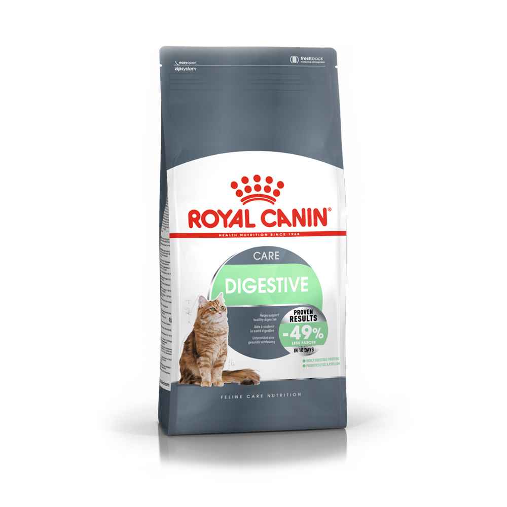Recommendations for dry food for cats