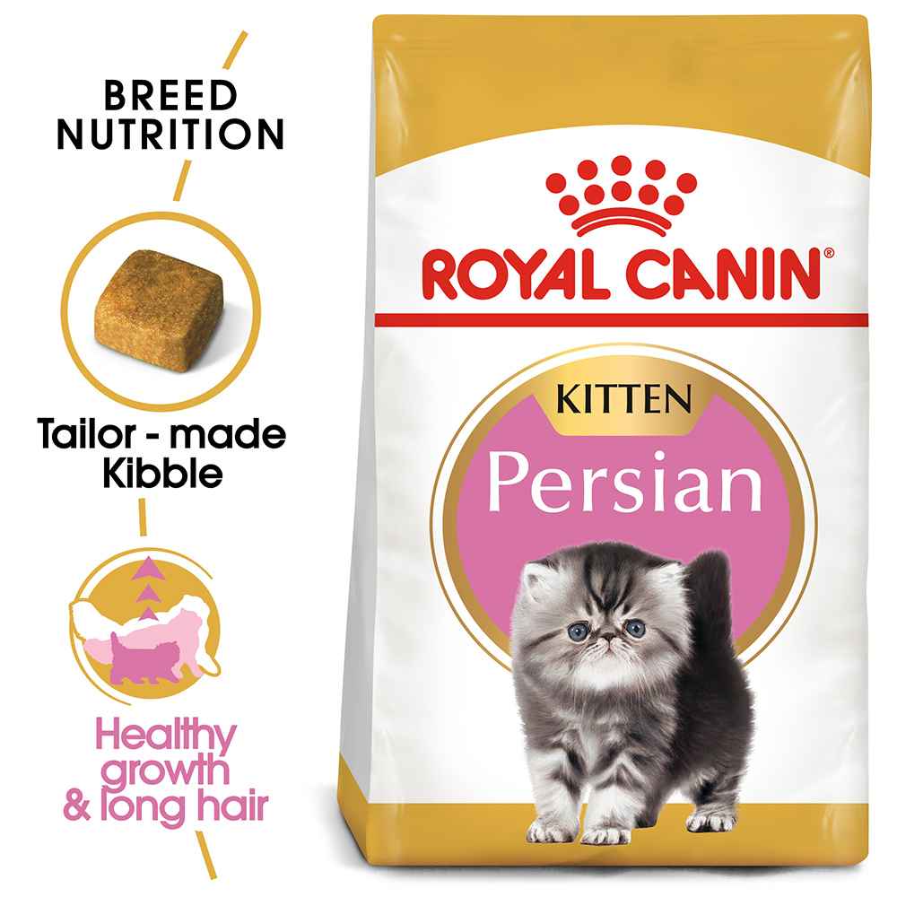 Feeding cats