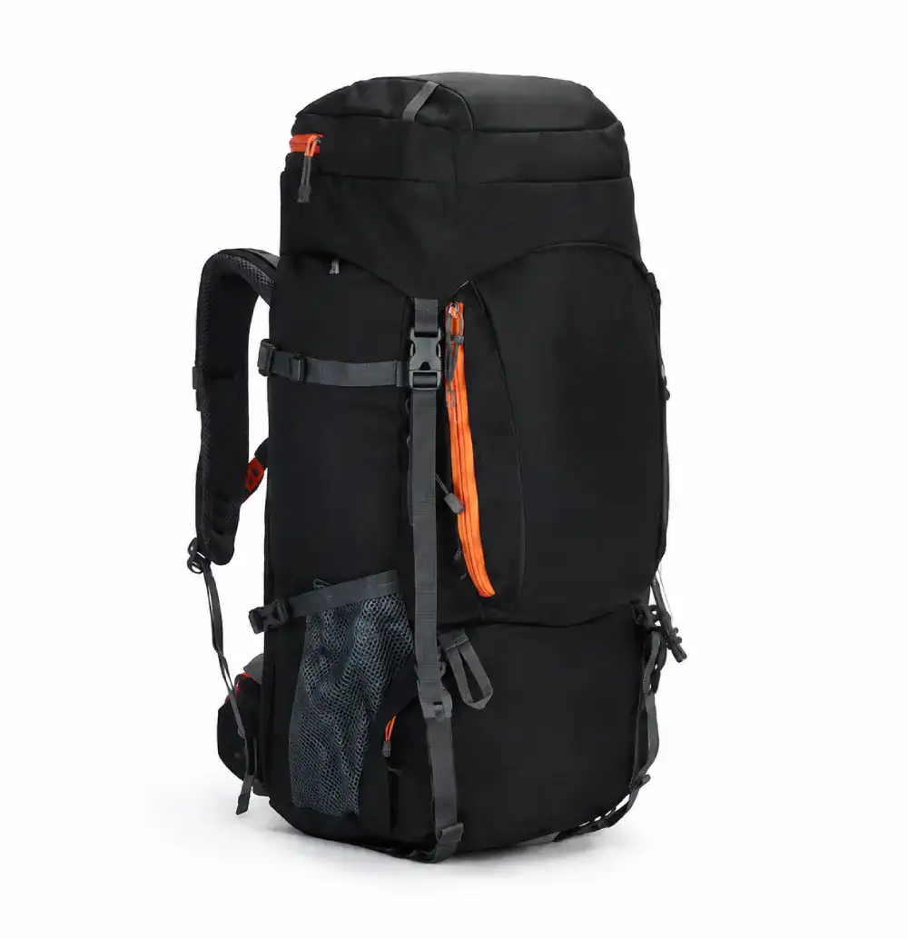 Traveling Bag