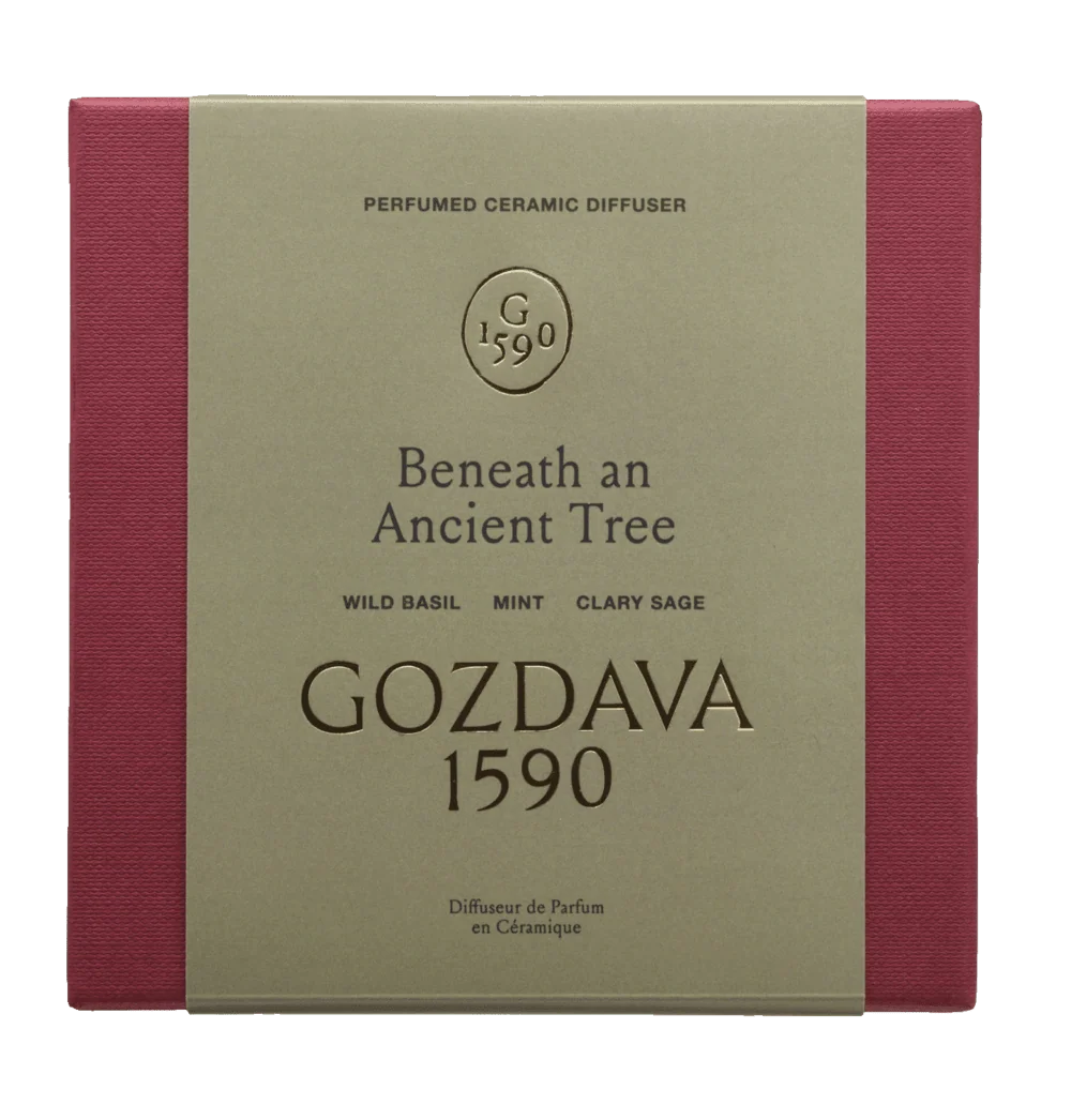 BENEATH AN ANCIENT TREE