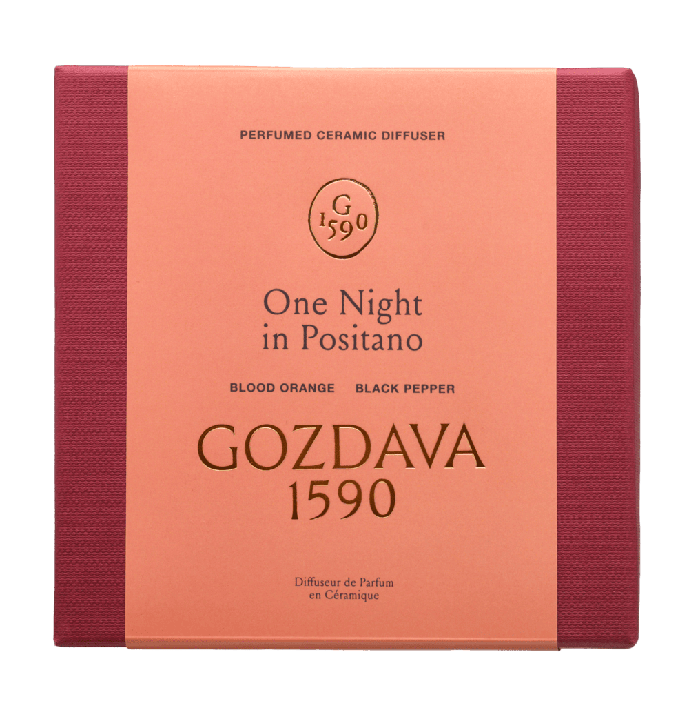 ONE NIGHT IN POSITANO