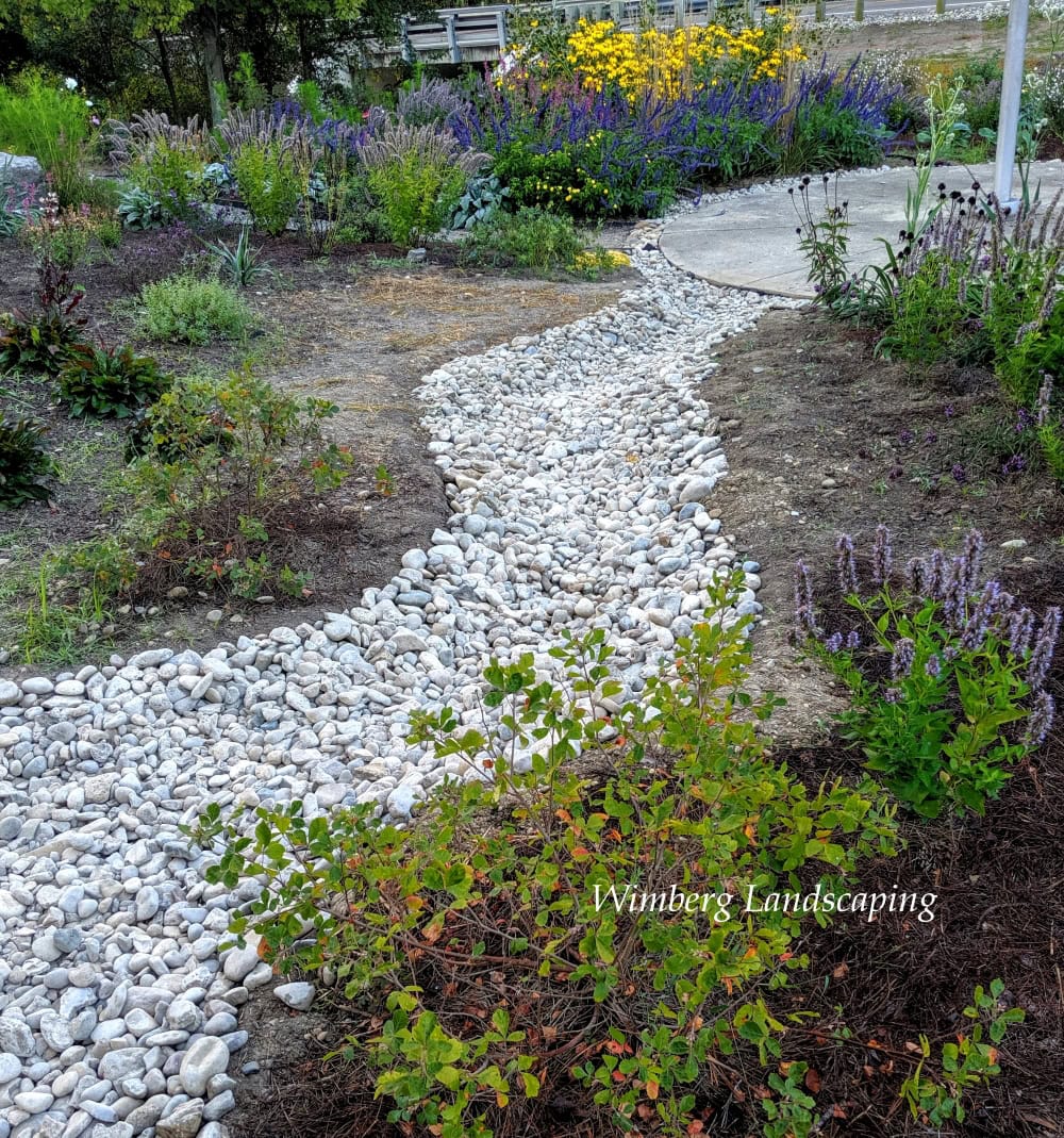Read more about the article Salt Tolerant Plants
