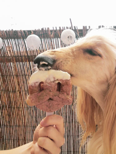 Tatolado Cookie - Imagen 2