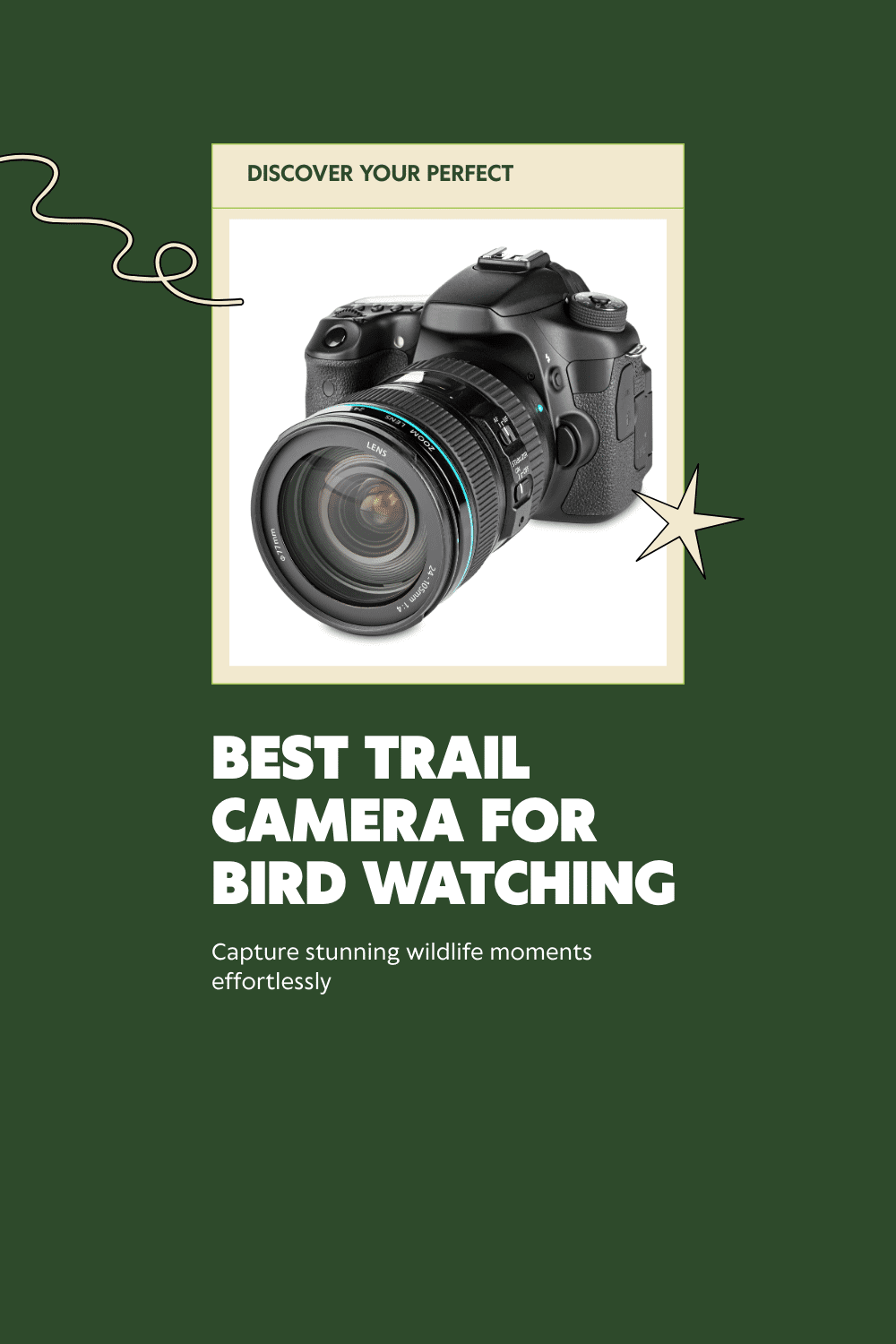 Best Trail Camera for Bird Watching