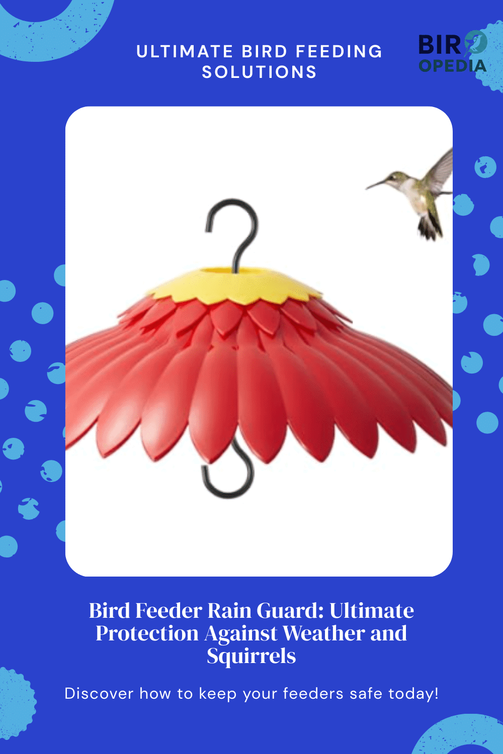 Bird Feeder Rain Guard: Ultimate Protection Against Weather and ...