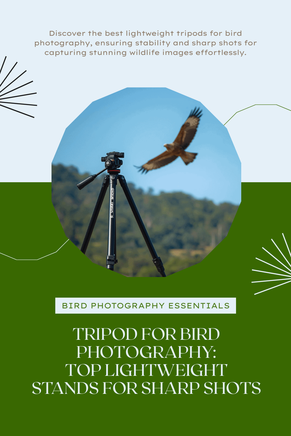 Tripod for Bird Photography