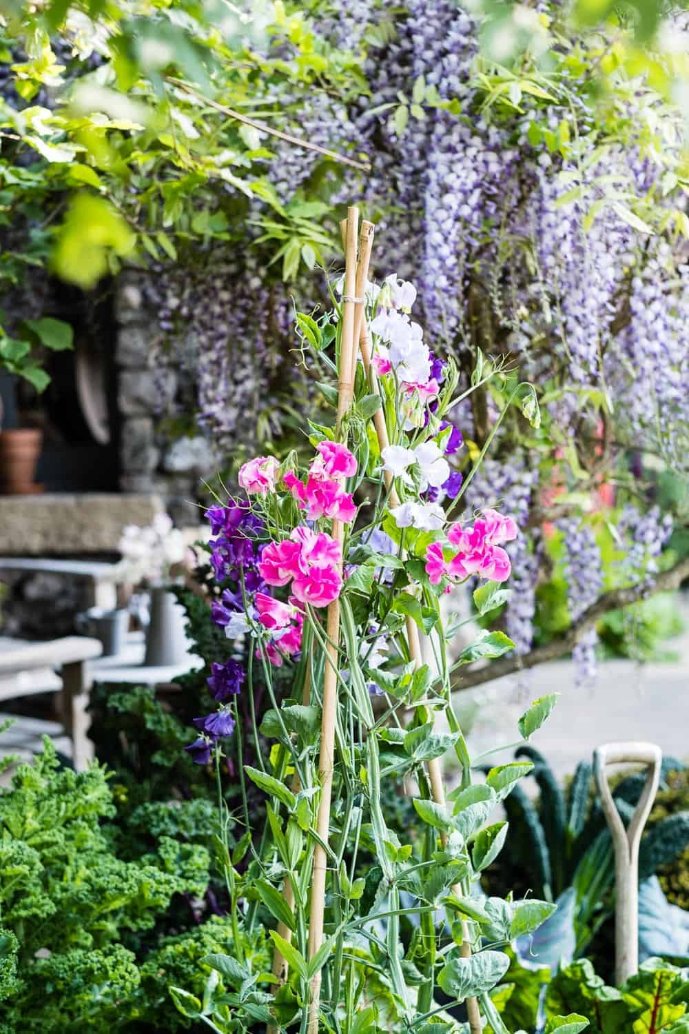 Chelsea Flower Show 2018 Welcome to Yorkshire Garden
