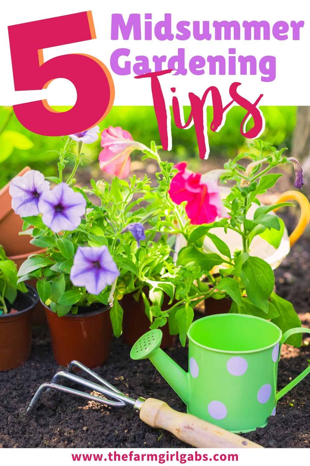 Summer is here and your gardens may be looking a little worn out from the heat. These 5 Ways to Spruce Up Your Midsummer Garden are helpful gardening tips to revive your summer garden! #gardeningtips #gardeningideas #plants #flowers