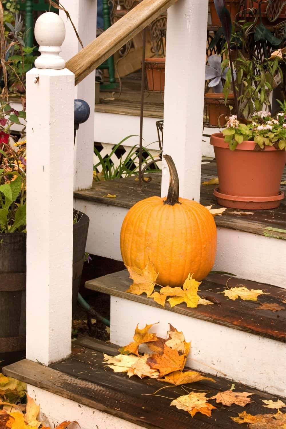 Make your home a show-stopper this fall with these Outdoor Fall Decorating Ideas! Fun ways to decorate your home this fall. These budget-friendly decorating tips will make your home look like a show stopper this fall.