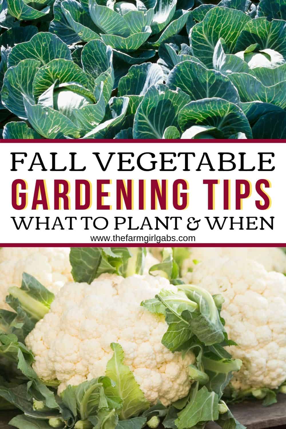 Just because the season is changing doesn't mean it's not too late to start a garden. Here is Fall Vegetable Gardening Tips to plant your fall garden. These vegetable garden planting tips will help your garden look great this fall. #gardeningtips #fallgarden #plants #vegetablegardening