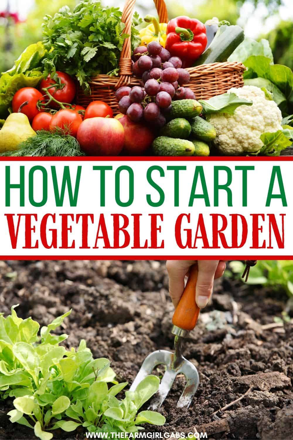 Spring is in the air and it’s a perfect time to start thinking about your vegetable garden. Here are helpful tips on How To Start A Vegetable Garden.