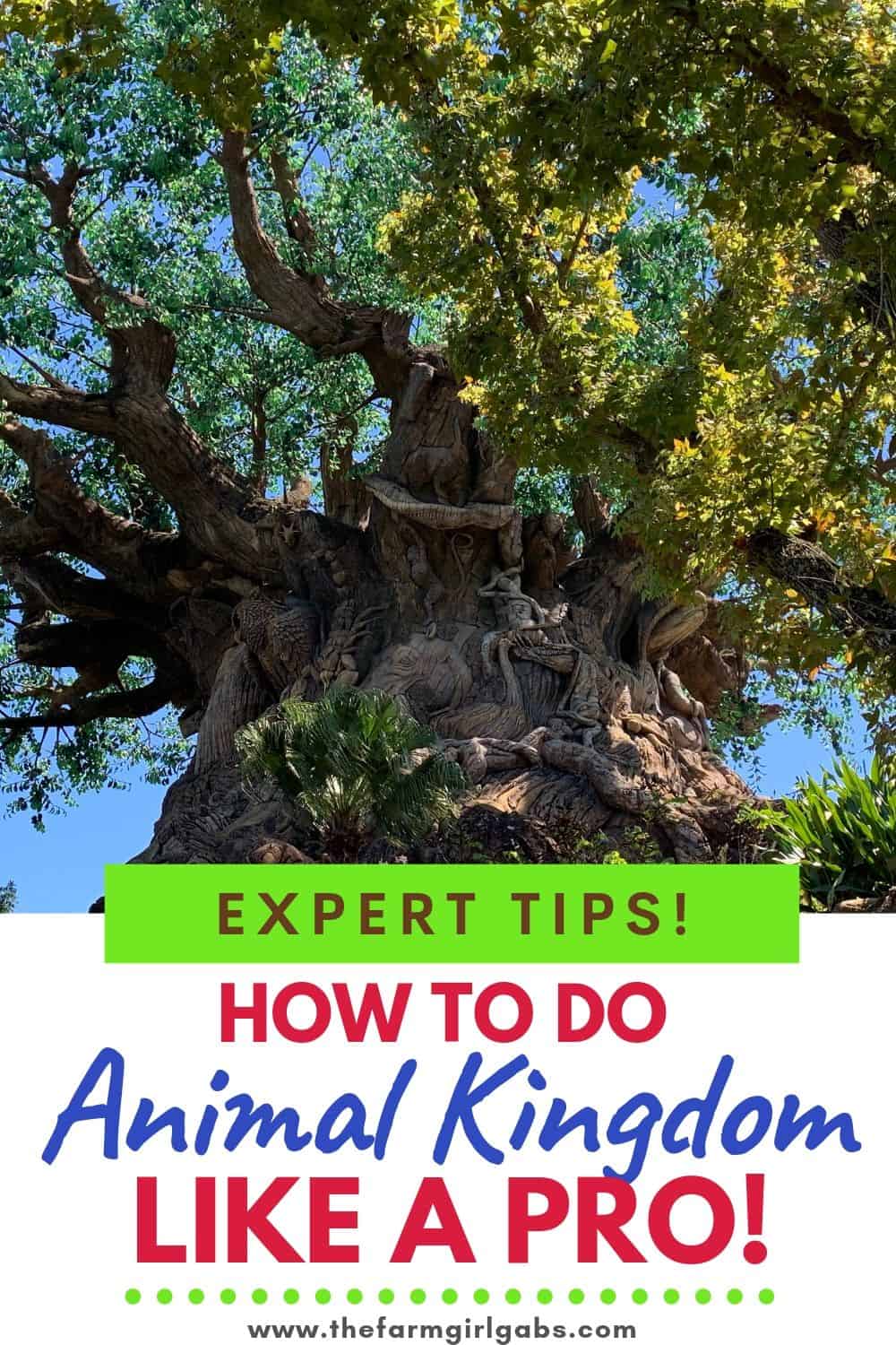 The Best tips for visiting Animal Kingdom. Follow these Animal Kingdom pro tips to plan you day at the park like an expert. #animalkingdom #animalkingdomtips #disneytips