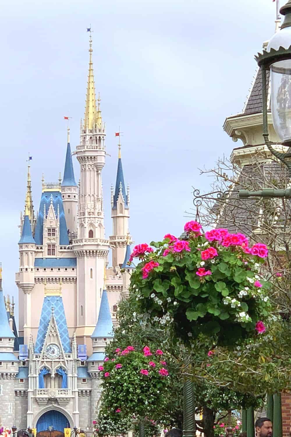 Cinderella Castle disney world budget tips