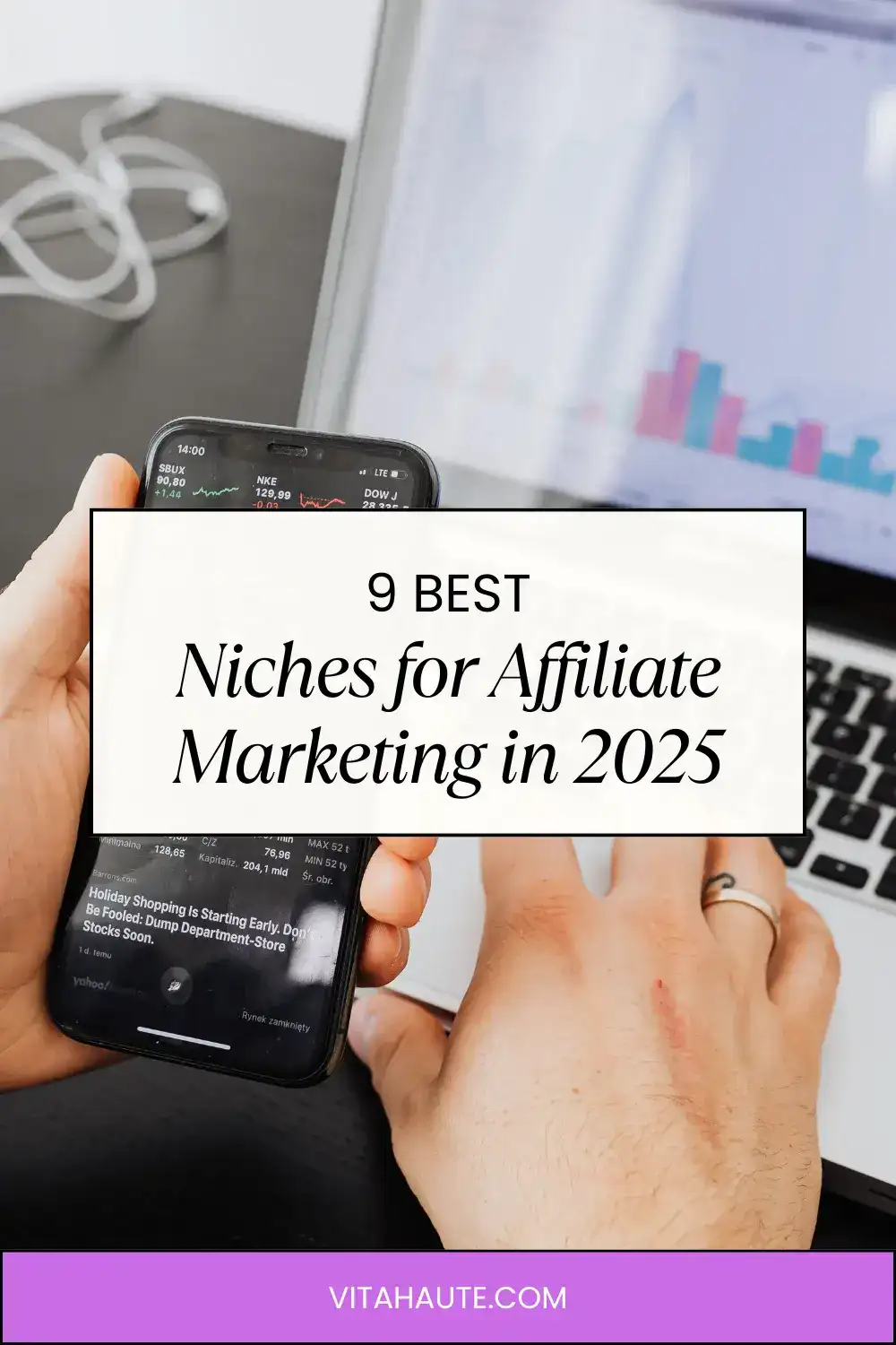 Computer screenshot showing profits from various affiliate marketing niches