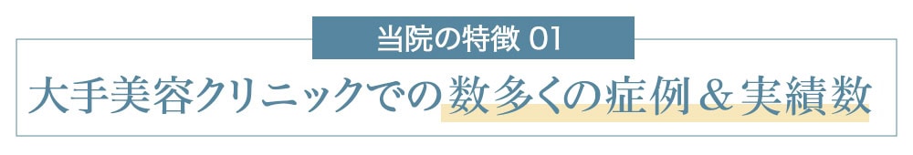 大手美容外科の実績数