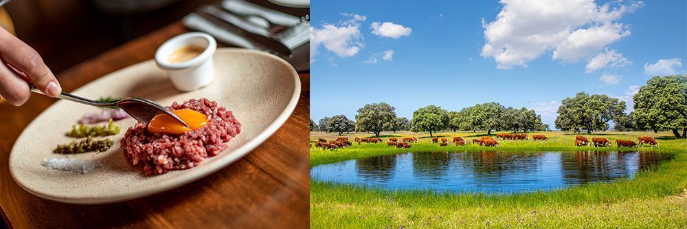 Bienvenida - LFNC News - Carne de La Finca