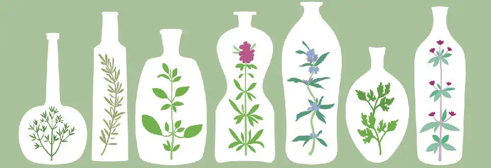 homeopathy