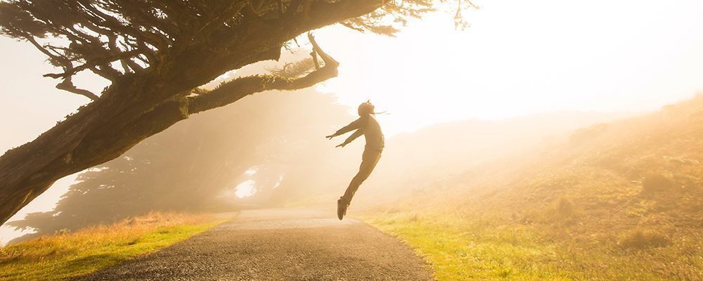 Lucid Dreaming and Flying Dreams Jane Teresa Anderson The Dream Academy