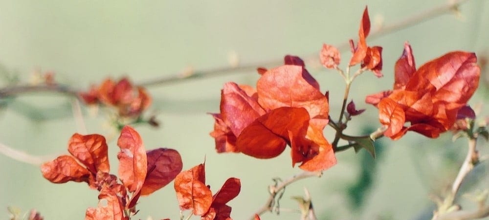 Create the life you're meant to live - sadhana