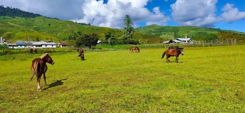Mechuka Valley