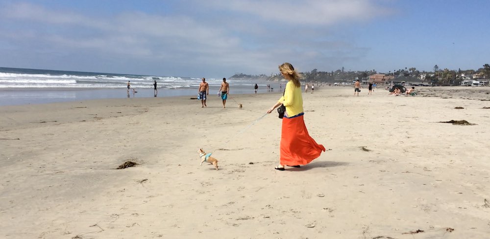 Ocean Beach Dog Beach