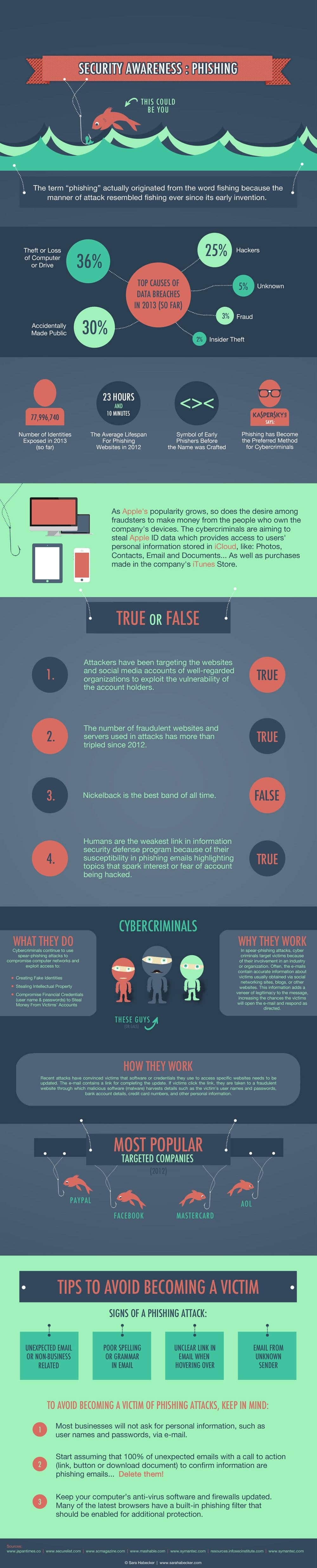 Information Security - Phishing Infographic