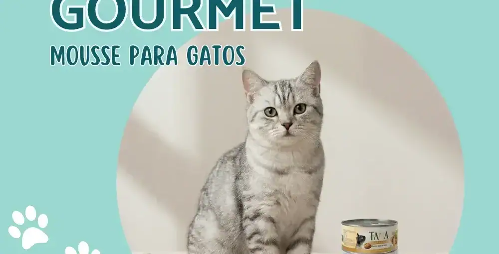 Gato gris saludable sentado junto a tres latas de alimento Tama Gourmet Mousse sabores pollo, atún y salmón en formato 85g.