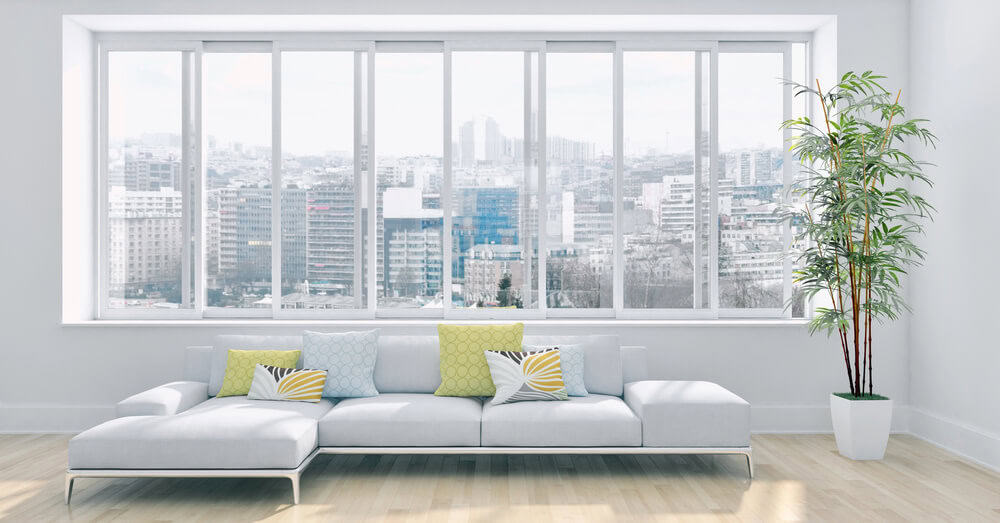 Hiring a Professional vs. DIY: What’s Best for Apartment Window Cleaning?