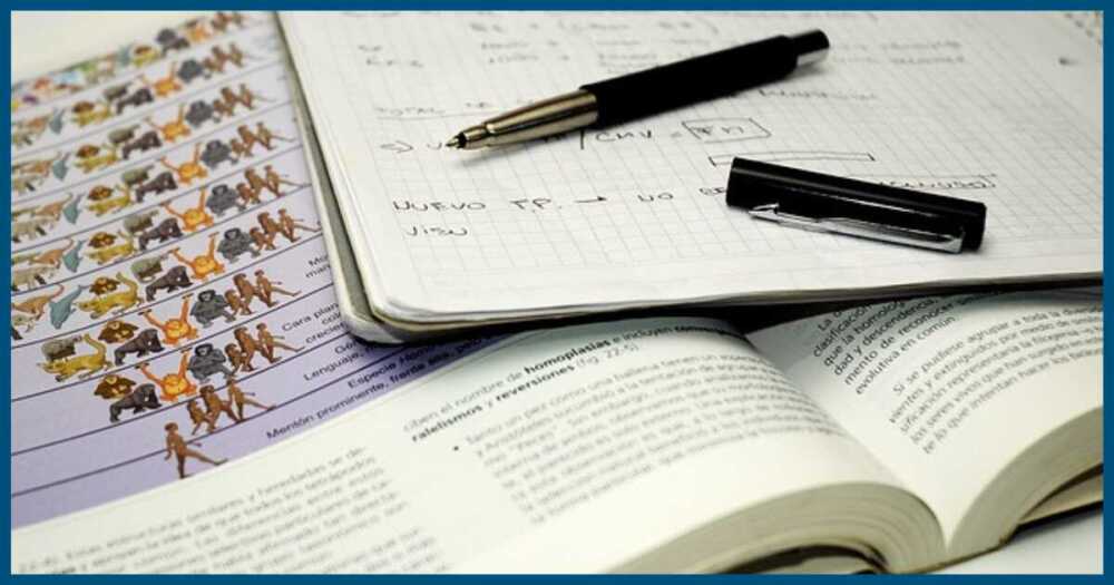 東進高速マスターはいらない？効果的なやり方と評判を解説