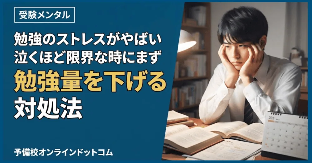 勉強のストレスがやばい|泣くほど限界な時にまず勉強量を下げる対処法