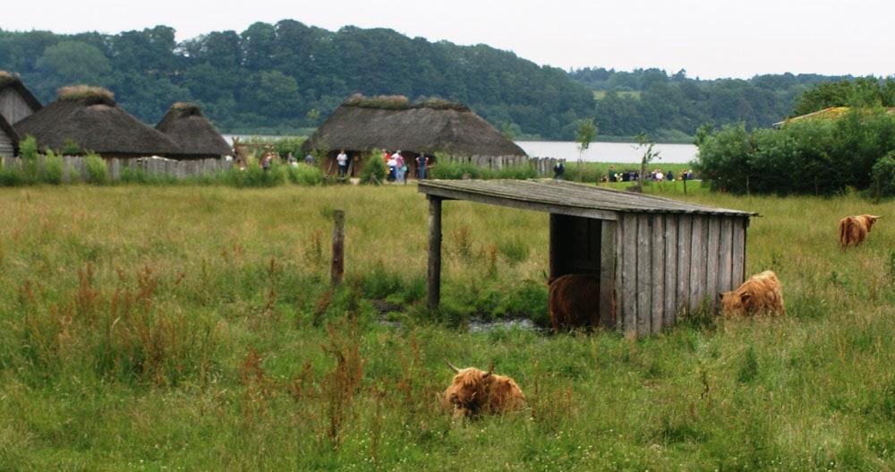 9_Hedeby