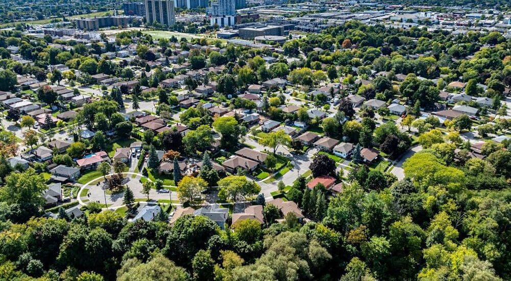 Scarborough Cannabis Delivery