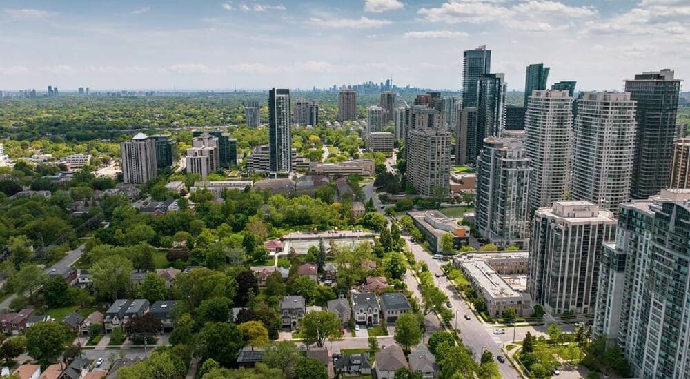York Cannabis Delivery - North York Weed Delivery