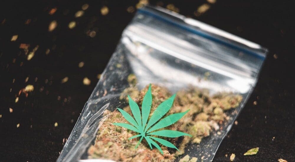 What is a cannabis lot number? Your guide to safe buying